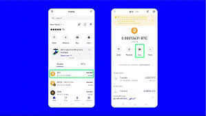 An In-Depth Analysis of Bitcoin Wallets Understanding Cryptocurrency Storage Solutions